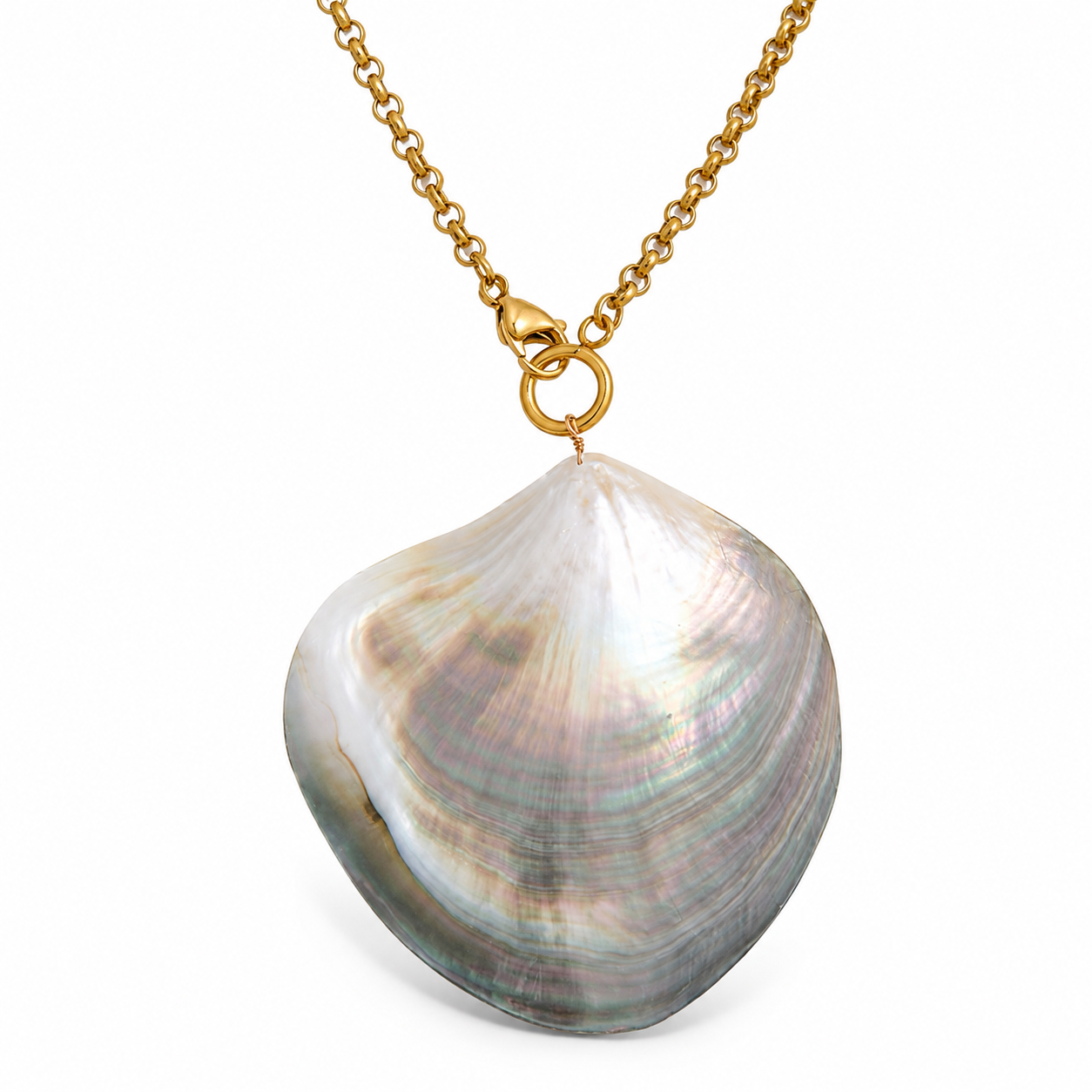 Large Seashell Necklace
