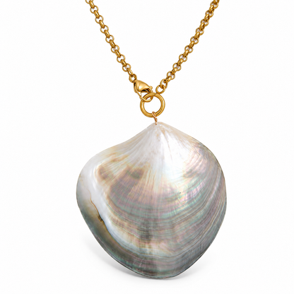 Large Seashell Necklace