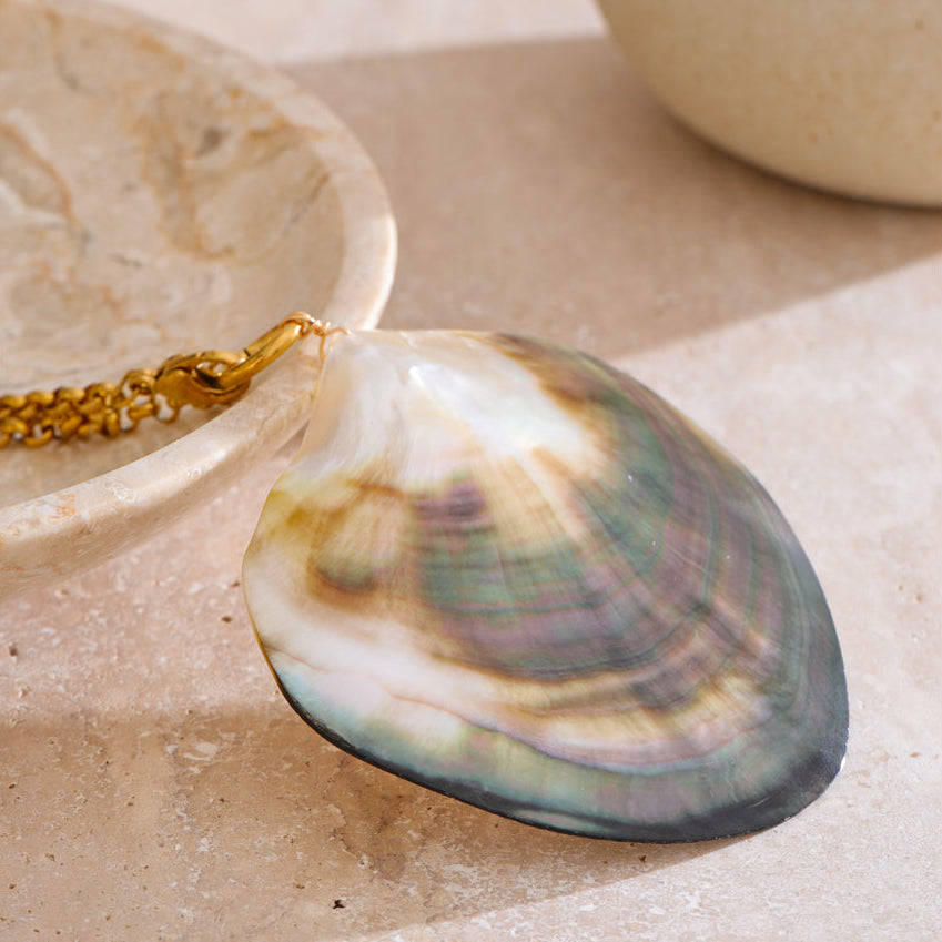 Large Seashell Necklace
